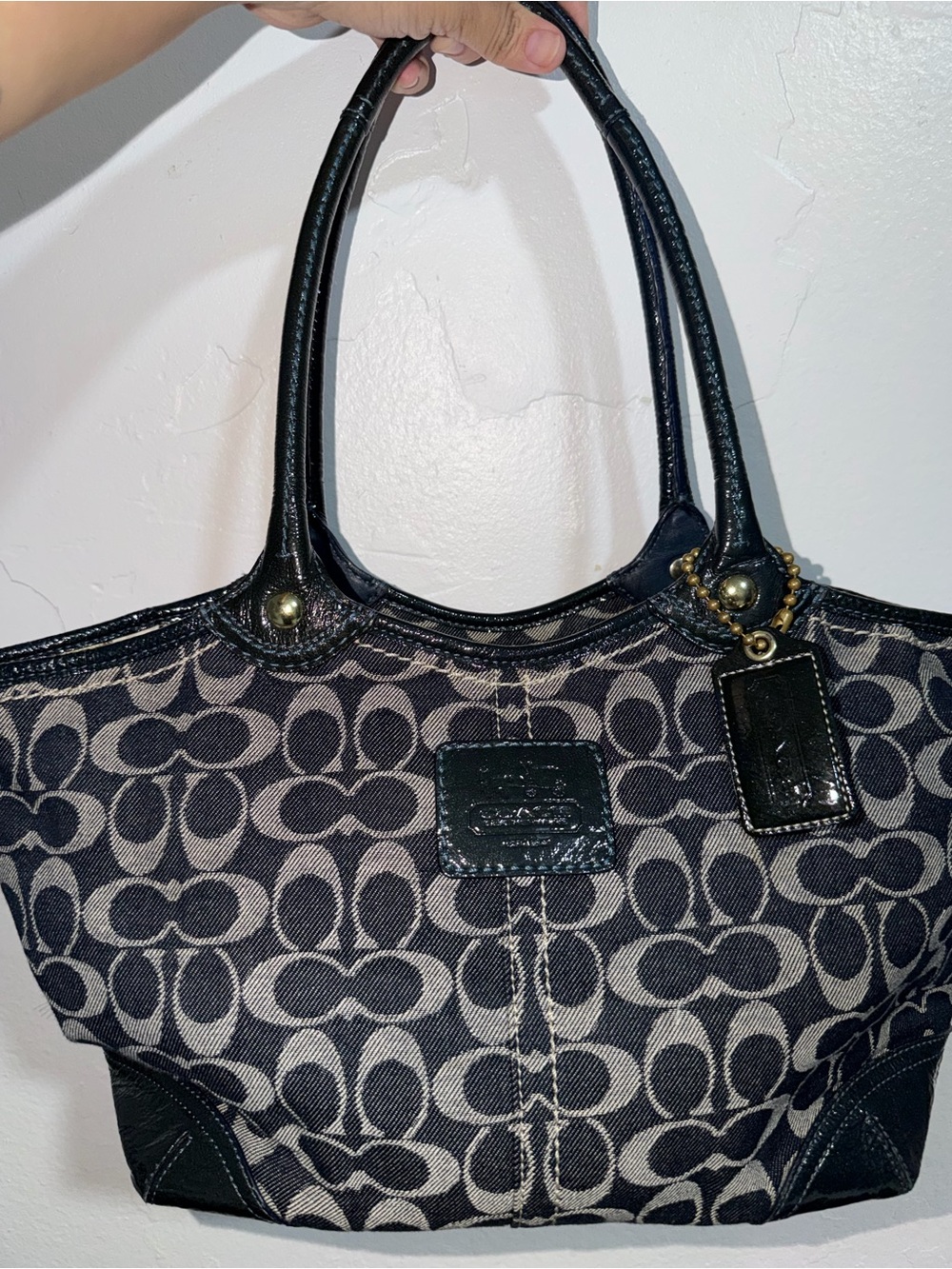 Coach Signature Canvas Tote Bag